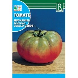 Semilla tomate muchamiel cuello verde