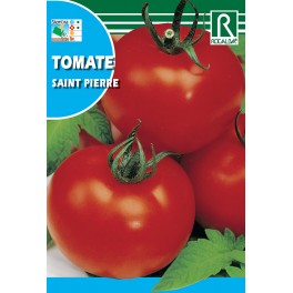 Semilla tomate saint pierre