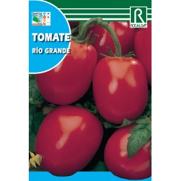 Semilla tomate río grande