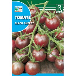 Semilla tomate black cherry