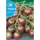 Semilla tomate black cherry