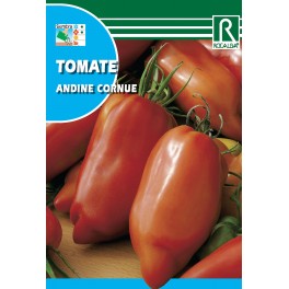 Semilla tomate andine cornue