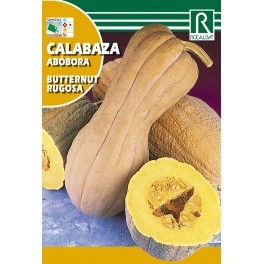 Semilla calabaza abóbora rutternut rugosa