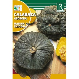 Semilla calabaza abóbora marina di chioggia