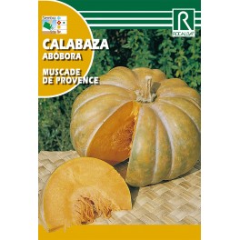 Semilla calabaza abóbora muscade de provence