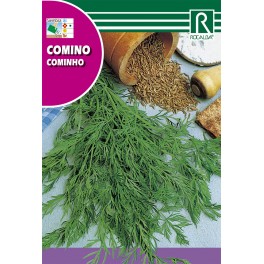 Semilla comino