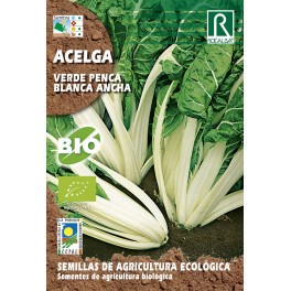 Semilla acelga