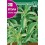 Semilla stevia