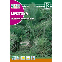 Semilla livistonia