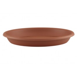 Plato de plástico universal