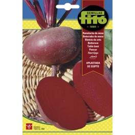Semilla Remolacha de mesa aplastada de Egipto