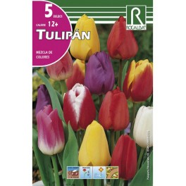 Bulbo de tulipán variado (bolsa litografiada 5 unidades)