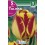 Bulbo de tulipán banja luka (bolsa litografiada 5 unidades)