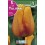 Bulbo de tulipán blushing apeldoorn (bolsa litografiada 5 unidades)