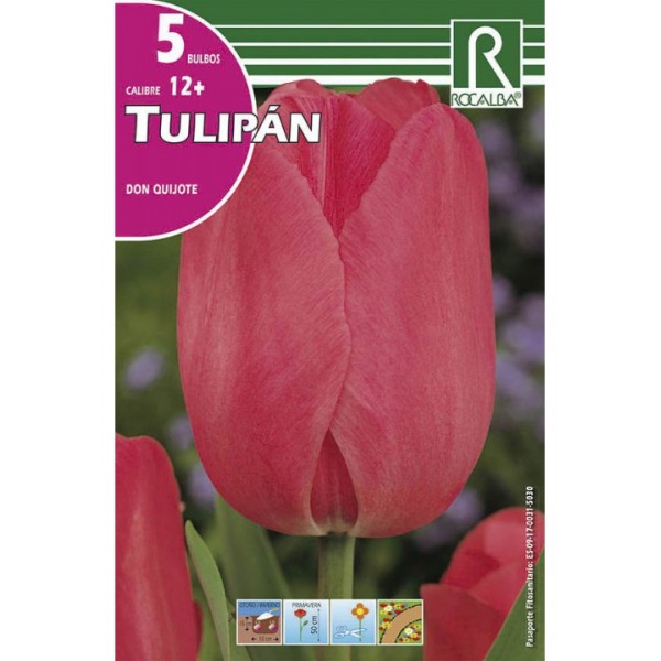 bolsa 5 bulbos Bulbos de tulipan don quijote 