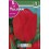 Bulbo de tulipán ile de france (bolsa litografiada 5 unidades)