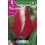 Bulbo de tulipán lucky strike (bolsa litografiada 5 unidades)