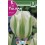 Bulbo de tulipán spring green (bolsa litografiada 5 unidades)