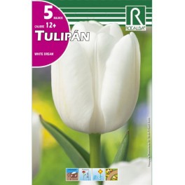 Bulbo de tulipán white dream (bolsa litografiada 5 unidades)