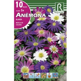 Bulbo de anemona blanda variada (bolsa litografiada 10 unidades)