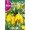Bulbo de Fritillaria lutea (bolsa litografiada 1 unidad)