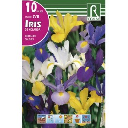 Bulbo de iris de Holanda variado (bolsa litografiada 10 unidades)