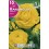 Bulbo de ranunculo o francesilla amarillo (bolsa litografiada 10 unidades)