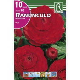 Bulbo de ranunculo o francesilla rojo (bolsa litografiada 10 unidades)