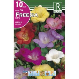 Bulbo de fresia simple variada (bolsa litografiada 10 unidades)