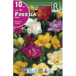 Bulbo de fresia doble variada (bolsa litografiada 10 unidades)