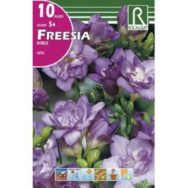 Bulbo de fresia doble azul (bolsa litografiada 10 unidades)