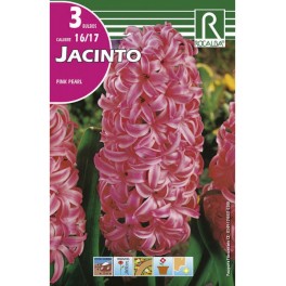 Bulbo de jacinto pink pearl (bolsa litografiada 3 unidades)
