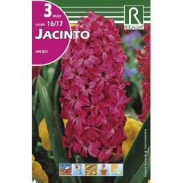 Bulbo de jacinto Jan boss (bolsa litografiada 3 unidades)