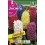 Bulbo de jacinto Jumbo variado (bolsa 3 unidades)