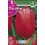 Bulbo de tulipán renow (bolsa litografiada 5 unidades)