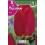 Bulbo de tulipán Oxford (bolsa litografiada 5 unidades)