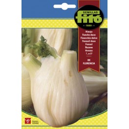 Semilla hinojo Florencia