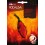 Pack de semillas de pimientos picantes