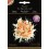 Pack de semillas de flores comestibles