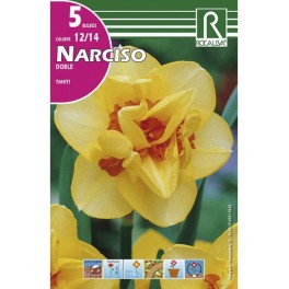 Bulbo de narciso doble tahiti (bolsa litografiada 5 unidades)
