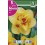 Bulbo de narciso doble tahiti (bolsa litografiada 5 unidades)