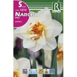 Bulbo de narciso doble acropolis (bolsa litografiada 5 unidades)