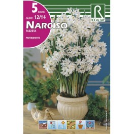 Bulbo de narciso tazzeta paperwites (bolsa litografiada 5 unidades)