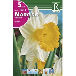 Bulbo de narciso trompeta magnet (bolsa litografiada 5 unidades)