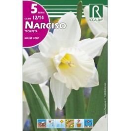 Bulbo de narciso trompeta mount hood (bolsa litografiada 5 unidades)