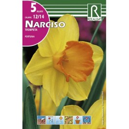 Bulbo de narciso fortuna (bolsa litografiada 5 unidades)