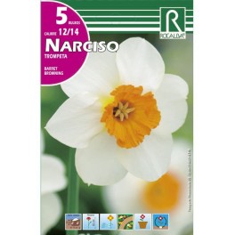Bulbo de narciso trompeta barret browning (bolsa litografiada 5 unidades)