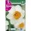 Bulbo de narciso trompeta barret browning (bolsa litografiada 5 unidades)