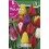 Bulbo de tulipán variado (bolsa litografiada 5 unidades)