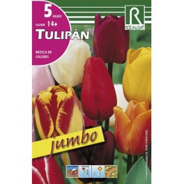 Bulbo de tulipán Rembrandt variado (bolsa 5 unidades)